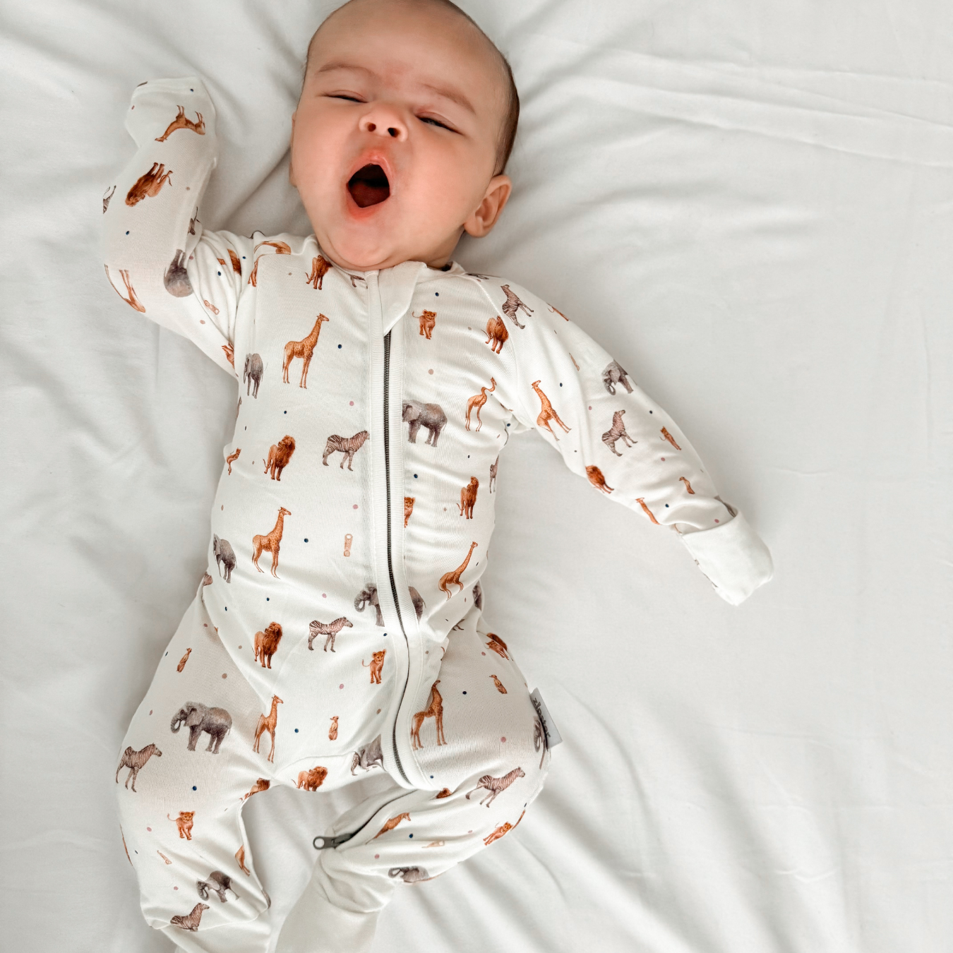 ZIPSTER™ Mini Jungle