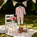 {Jemima Puddle-Duck & Friends