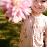 {Jemima Puddle-Duck & Friends