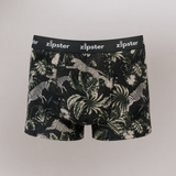 Caleçon homme Zebra