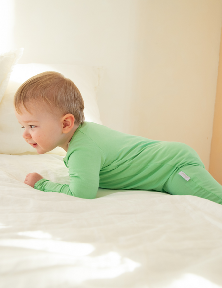 ZIPSTER™ Solids Apple