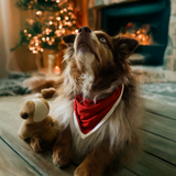 Bavoir pour chien Bandana rouge pour animaux de compagnie