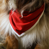 Bavoir pour chien Bandana rouge pour animaux de compagnie
