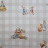 Conjunto de pijamas para criança Peter & Pals