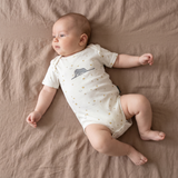 Body „Der kleine Prinz – Elefant“