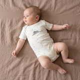 Little Prince Bodysuit Gift Bundle