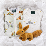 Little Prince Wild Friendships Gift Bundle